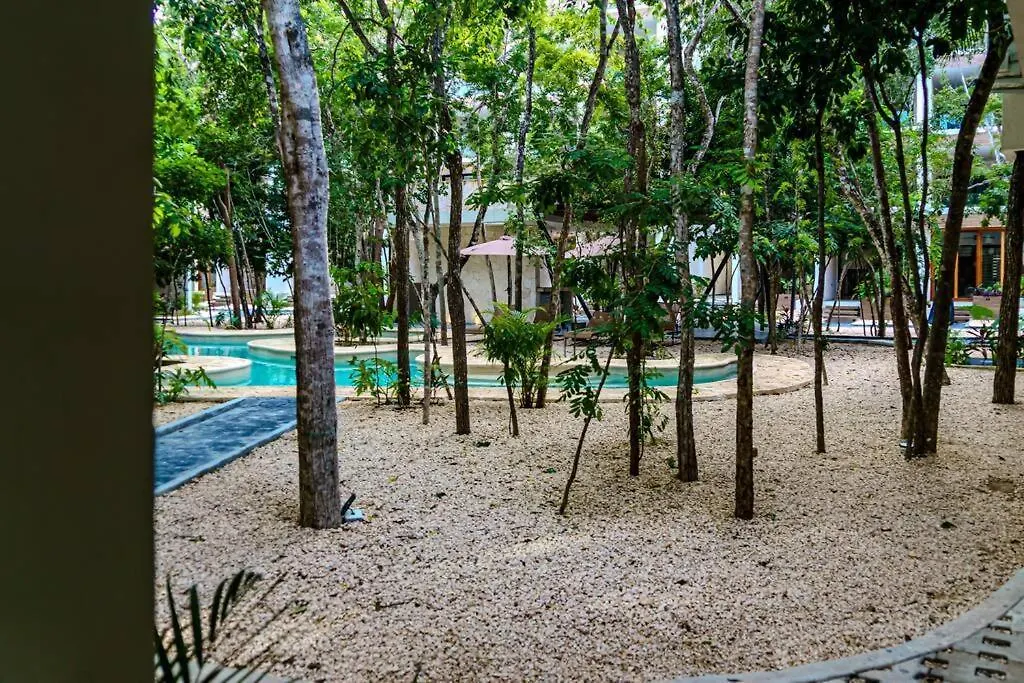 شقة Ph With Private Pool And Bikes تولوم